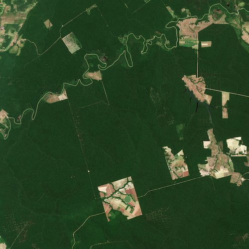 Tropical_forest_around_the_Capim_River_Brazil-clip contains modified Copernicus Sentinel data (2022), processed by ESA
