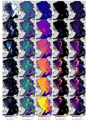 Results of the new sea-ice age product and the different components included in the uncertainty estimates.