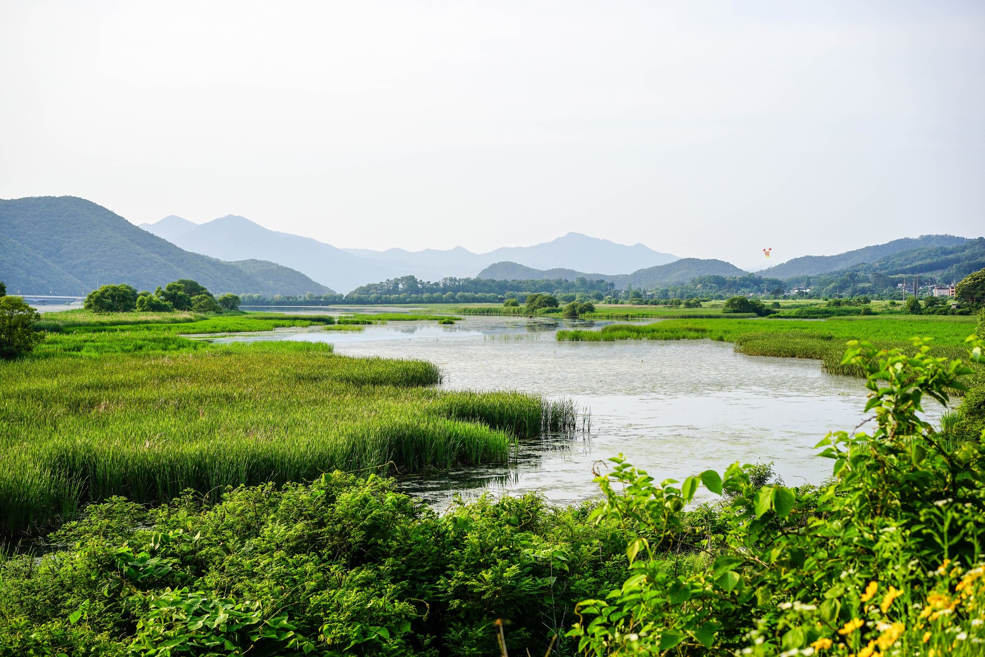 Study WP5.8 - Using Machine Learning to Evaluate and Understand our Capability to Model Tropical Wetland Methane Emissions